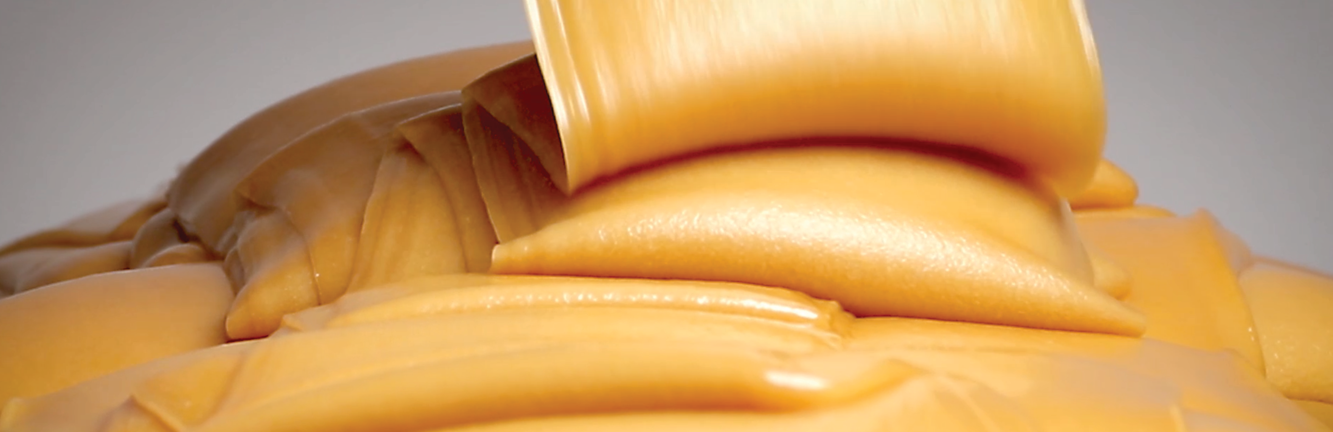 THE ULTIMATE SUPER FOOD